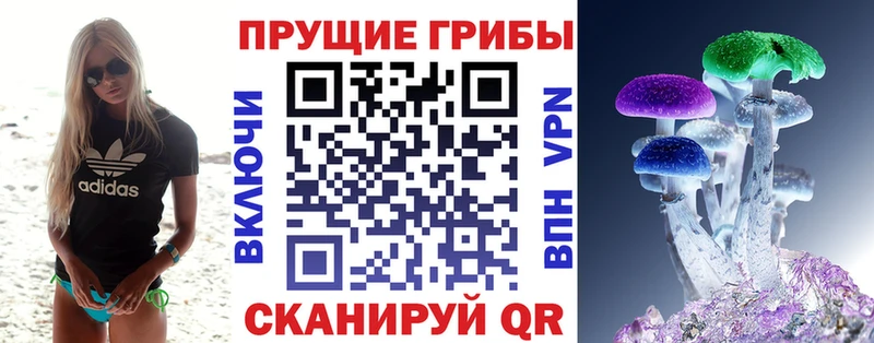 kraken ТОР  Белово  Псилоцибиновые грибы ЛСД 